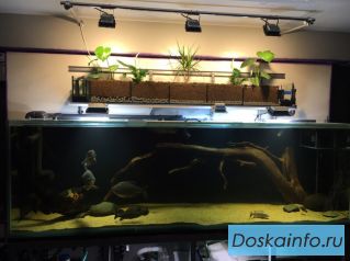 Магазин «АкваРим» - аквариумы, террариумы, светильники на заказ