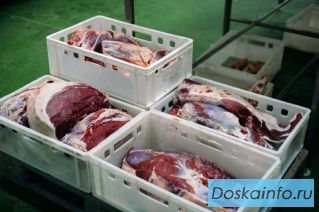Производство говядины, свинины. Продажа мяса цб