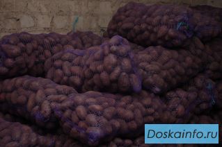 Продам картофель от производителя,здесь!