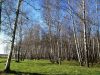 Уменьшенная картинка