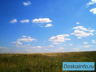 Просторный, красивый участок близ леса, Симферопольское ш. 55 км Бершово 