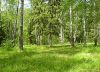 Уменьшенная картинка