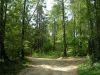Уменьшенная картинка