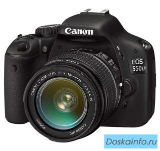 Прошу вернуть фотоаппарат Canon 550D за вознаграждение из-за ценных фотографий.