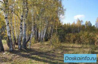 Продаю участкок 9 соток  в посёлке 'Верхние Велеми'. Серпуховской р-он