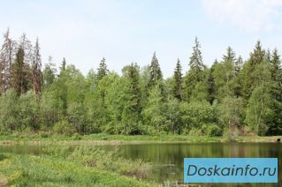 Продаю участок 10 соток рядом с д. Макеиха. Рузский район