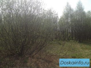 Продаю  участок  9  соток в посёлке «Устинки»