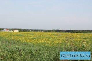 Продаю участок 8 соток рядом с д. Макеиха. Рузский район
