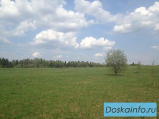 Продаю  участок  8  соток в посёлке «Устинки», Сергиево-Посадский р-он  