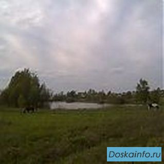 Отличный участок  8  соток  по хорошей цене. Рядом д. Доршево,  