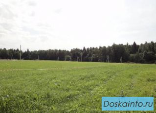 Дачный участок 8 соток в поселке «Озернинские просторы»