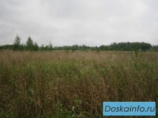 Продается 8  соток  участок рядом с д. Повадино Солнечногорский р-он . 