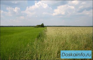 Продаю участок в дер. Никулино под ПМЖ либо под дачу