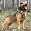Уменьшенная картинка