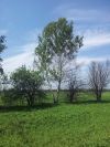 Уменьшенная картинка