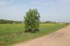 Уменьшенная картинка