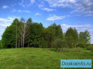 Отличный участок 11  соток  по хорошей цене. Рядом д. Доршево,  