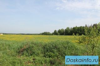 Продаю участок 7  соток рядом с д. Макеиха. Рузский район  