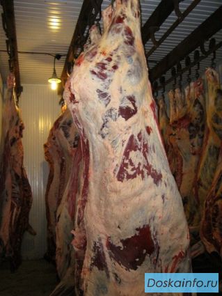 Оптовая и мелкооптовая продажа мяса