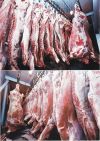 Уменьшенная картинка