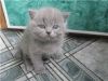 Уменьшенная картинка