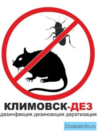 Уничтожение блох в Подольске.