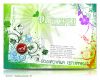 Подарочный сертификат на фотосессию в студии «Фантазия»