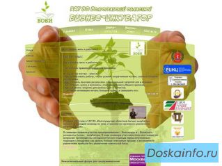 Создание и продвижение Сайтов, разработка Фирменного стиля.