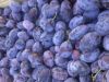 Уменьшенная картинка