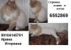 Уменьшенная картинка