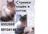 Уменьшенная картинка