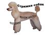 Уменьшенная картинка