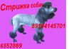 Уменьшенная картинка