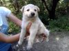 Уменьшенная картинка