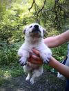 Уменьшенная картинка