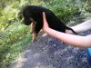 Уменьшенная картинка