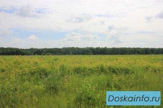 Участок 8 соток в Раменском районе 47 км от МКАД по Новорязанскому ш