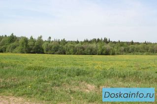 Продаю участок 9 соток рядом с дер. Макеиха. Рузский район
