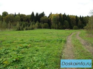Продаю участок  10 соток в поселке 'Лесная опушка'