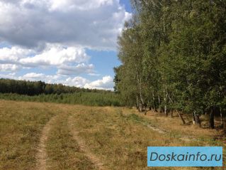 Участок 10  соток  в поселке «Чеховские сосны», около дер. Бершово