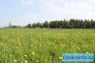 Продаю участок 10 соток рядом с дер. Макеиха. Рузский район