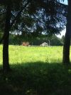 Уменьшенная картинка