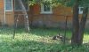 Уменьшенная картинка