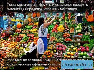 Оптовая поставка овощей и фруктов
