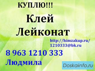 Закупаем Клей Лейконат
