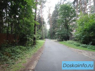 Продам лесной участок в академических дачах РАН Луцино!
