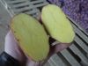 Уменьшенная картинка