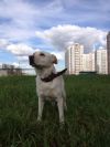 Уменьшенная картинка