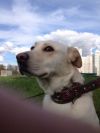 Уменьшенная картинка