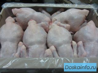 Цыпленок бройлер ГОСТ Россия, Белоруссия 1,2 категории опт